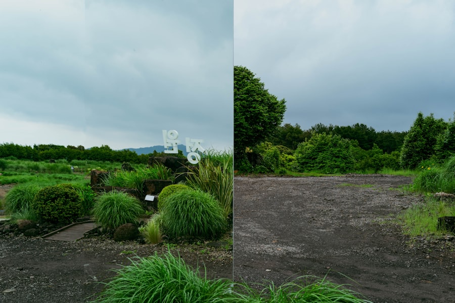 Before and after