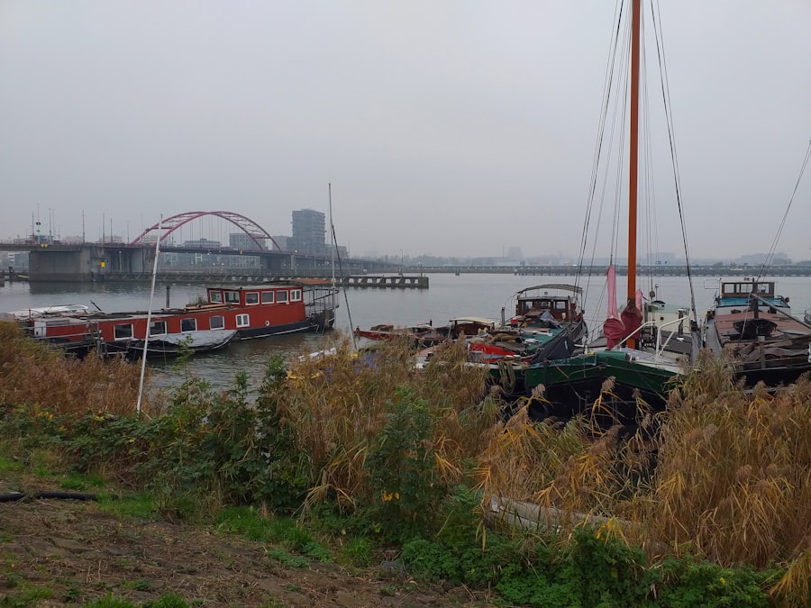 Dutch Dike
