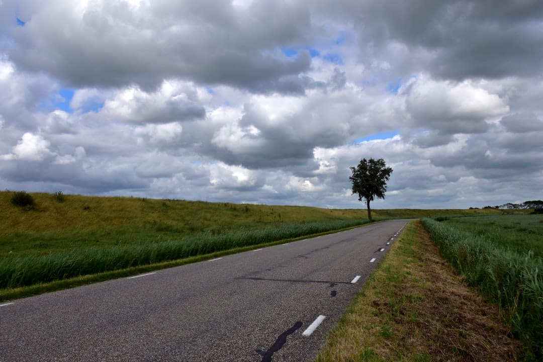 Hoe Waterwerken Nederland Vormgaven: De Bouw van Dijken en Dammen