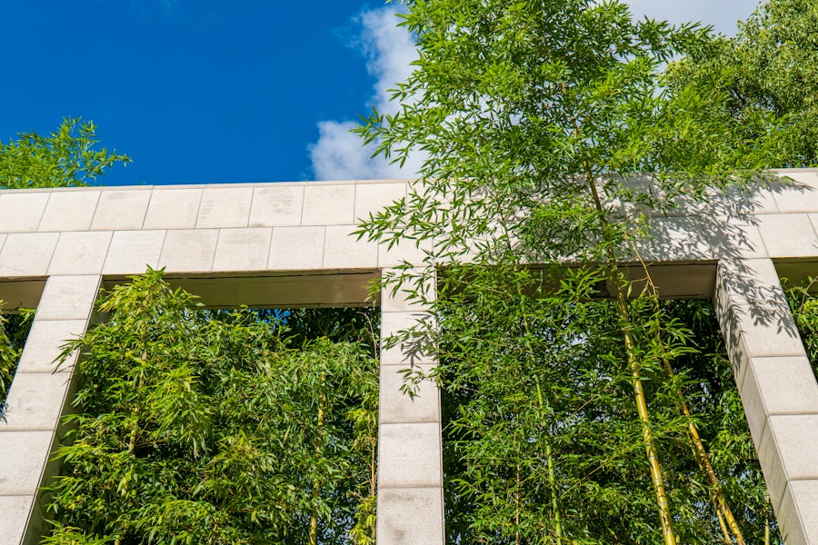 Sustainable building in the funeral industry: the future of saying goodbye