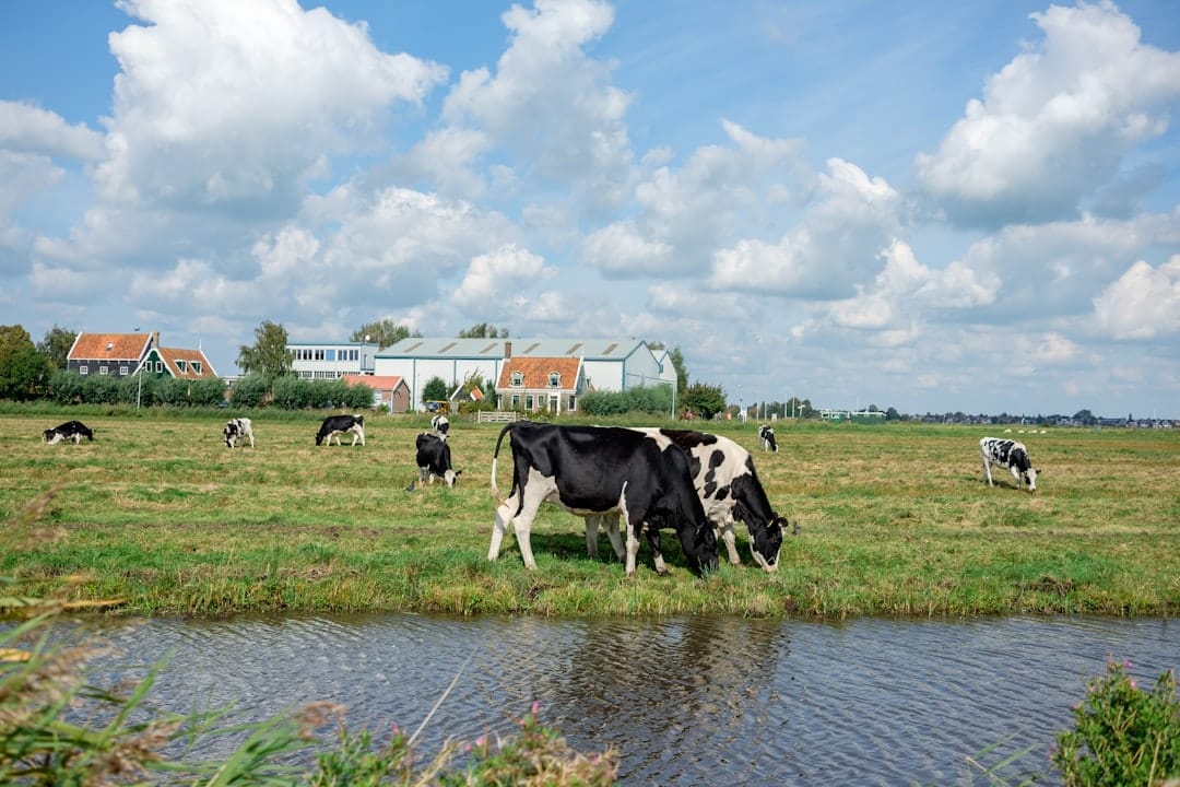 Hoe oude bouwfouten complete gebouwen in gevaar brachten